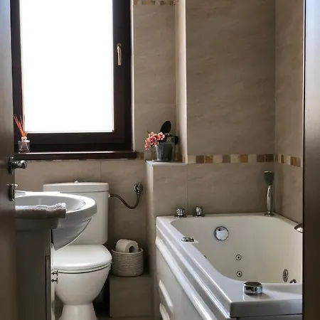 Appartement Roa's Timişoara