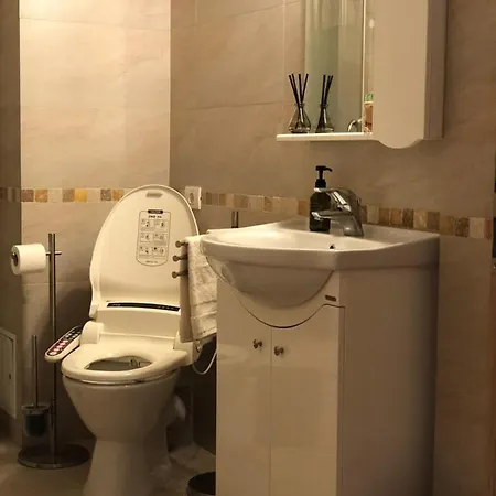 Roa's Appartement Timişoara