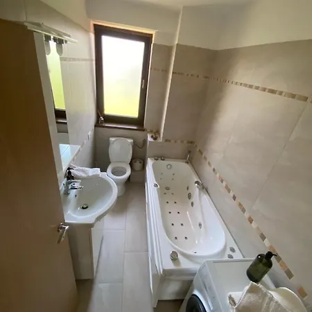 Appartement Roa's Timişoara